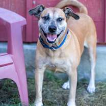 Thumbnail photo of Baby #2