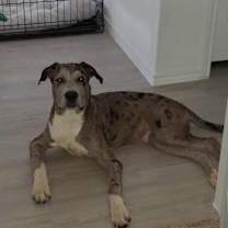 Thumbnail photo of Memo #3