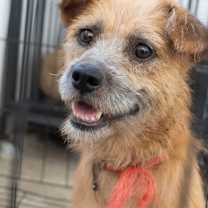 Thumbnail photo of Bright #3