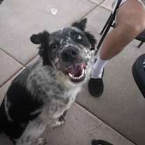 Thumbnail photo of Oliver #2