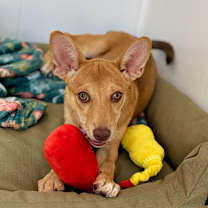 Thumbnail photo of Jess #4