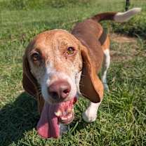 Thumbnail photo of Clark #4