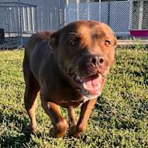 Thumbnail photo of Ashy/Ashley #4