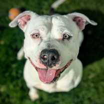 Thumbnail photo of Cypher #3