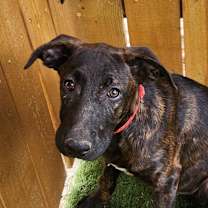 Thumbnail photo of Bebe JuM #1