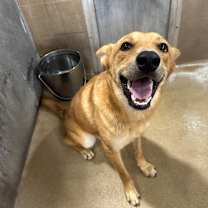 Thumbnail photo of Frisbee #4