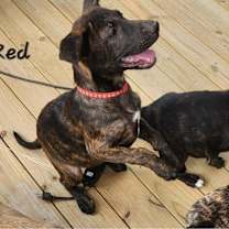 Thumbnail photo of Bebe JuM #2