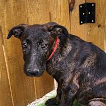 Thumbnail photo of Bebe JuM #3