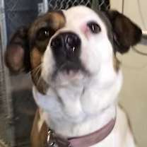 Thumbnail photo of Baby Gurl #2