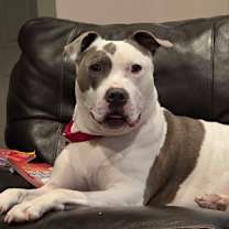 Thumbnail photo of Quinnly #2