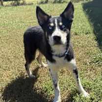 Thumbnail photo of BEAR #2