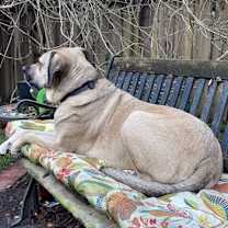 Thumbnail photo of Beatrice  #3