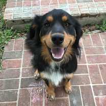 Thumbnail photo of Adams #2