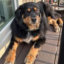 Thumbnail photo of Adams #3