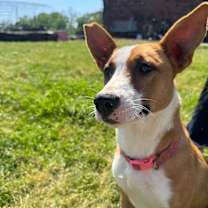 Thumbnail photo of Munchie #1