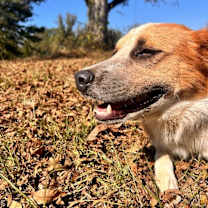 Thumbnail photo of Winter #2