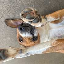 Thumbnail photo of Liv #2