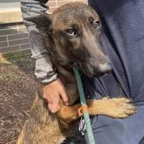 Thumbnail photo of Aditi - GA #2