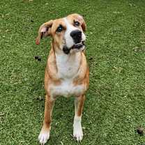 Thumbnail photo of Harold JuM #4