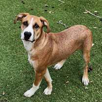 Thumbnail photo of Harold JuM #1