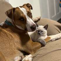 Thumbnail photo of Ruckus #1