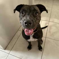 Thumbnail photo of Gordy #1