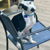 Thumbnail photo of Lefty #2