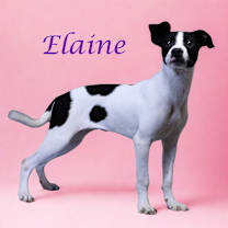 Thumbnail photo of Elaine D25-157 #1