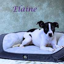 Thumbnail photo of Elaine D25-157 #2