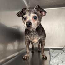 Thumbnail photo of Remi Emmie Lou #3