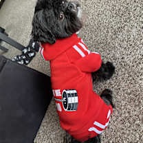 Thumbnail photo of T'Challa #2