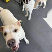 Thumbnail photo of Carter  #4