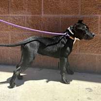 Thumbnail photo of Beauty  #3