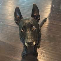 Thumbnail photo of Kygo #1