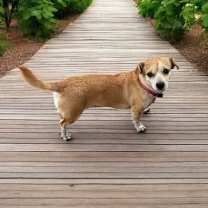 Thumbnail photo of Geri #2