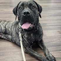 Thumbnail photo of Nora #1