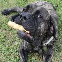 Thumbnail photo of Nora #2