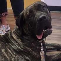 Thumbnail photo of Nora #3