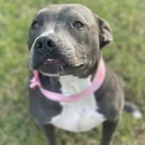 Thumbnail photo of Nellie #1