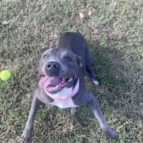 Thumbnail photo of Nellie #2