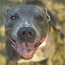 Thumbnail photo of Nellie #3