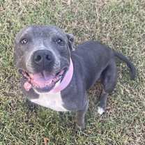 Thumbnail photo of Nellie #4