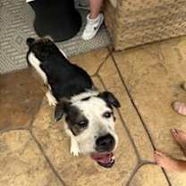 Thumbnail photo of Maggie #3