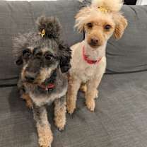 Thumbnail photo of Phyllis #3