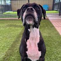 Thumbnail photo of Gouda #3