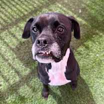 Thumbnail photo of Gouda #4