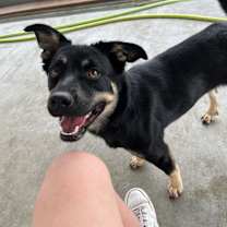 Thumbnail photo of Lilly #1