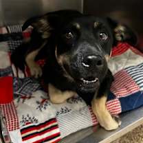 Thumbnail photo of Lilly #2