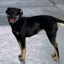 Thumbnail photo of Lilly #3