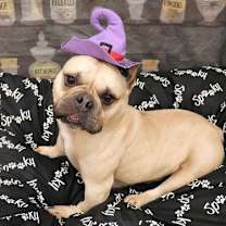 Thumbnail photo of Charlotte May #3